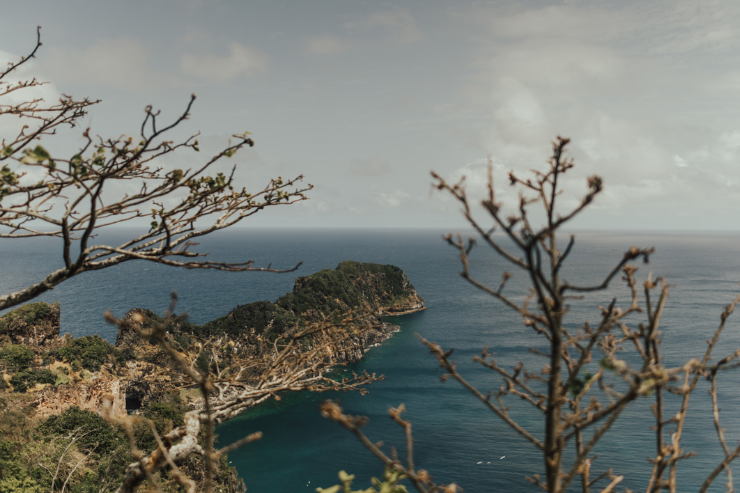 Ilha de galhos