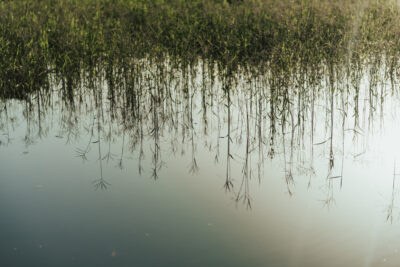 Reflexo na água
