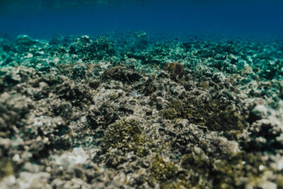 Fundo do mar