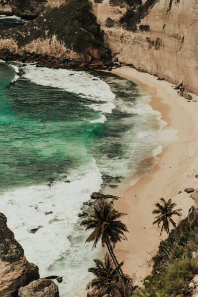 Coqueiros no mar