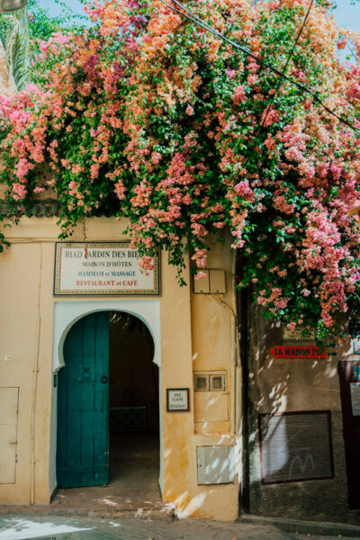 Árvore das flores