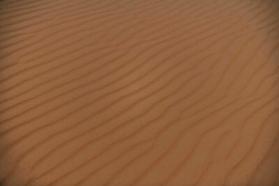 Vento no deserto p&b