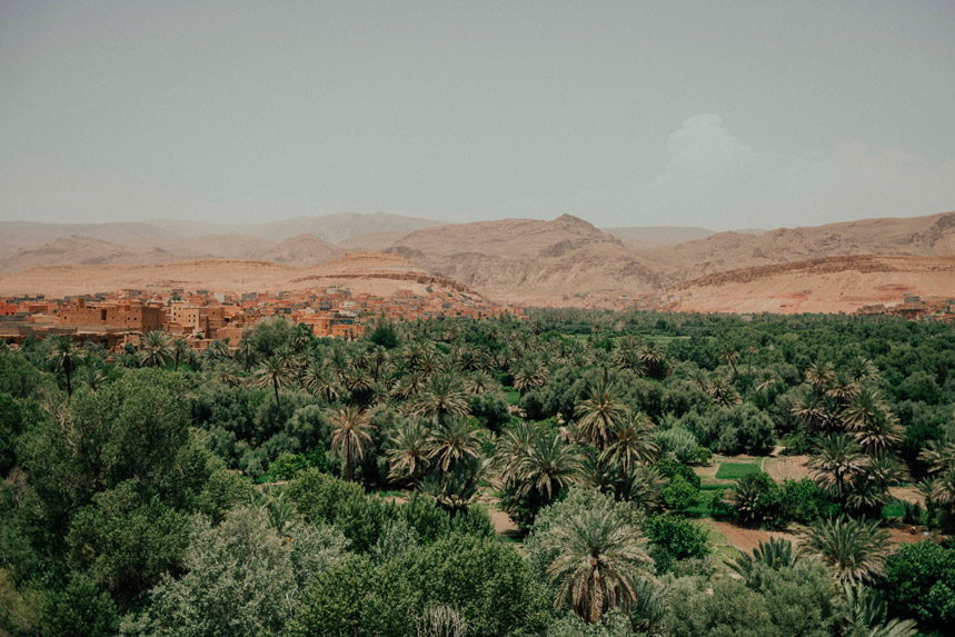 Oasis