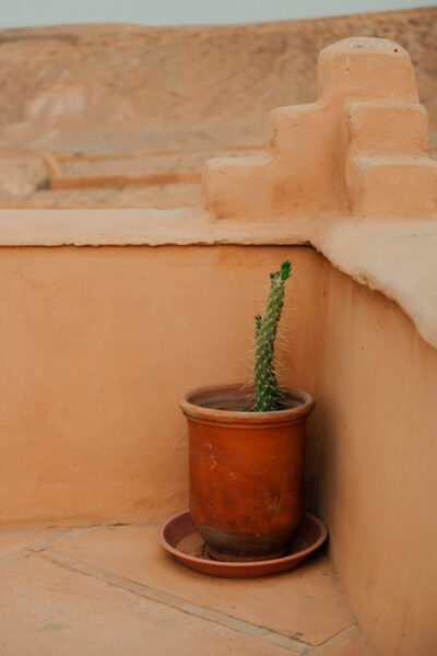 Detahes canto