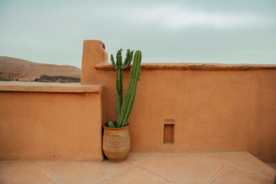 Detalhes Cactus horizontal
